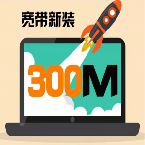 300M单宽带800元/1年